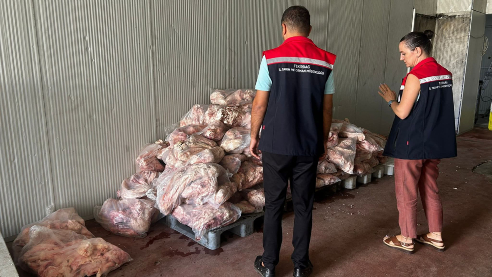 Marmaracık’ta Gıda Deposunda Hijyen Skandalı Ortaya Çıktı