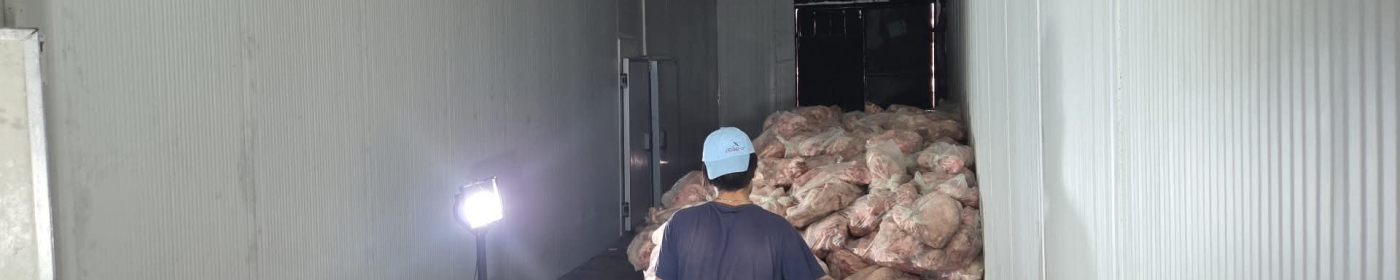 Marmaracık’ta Gıda Deposunda Hijyen Skandalı Ortaya Çıktı